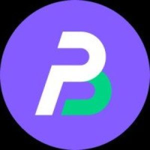 BestProxy Logo